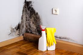 Best Environmental Consulting for Mold Prevention  in Woodfield, SC